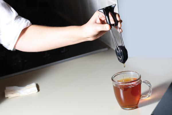 PINCE A THE DREAMFARM