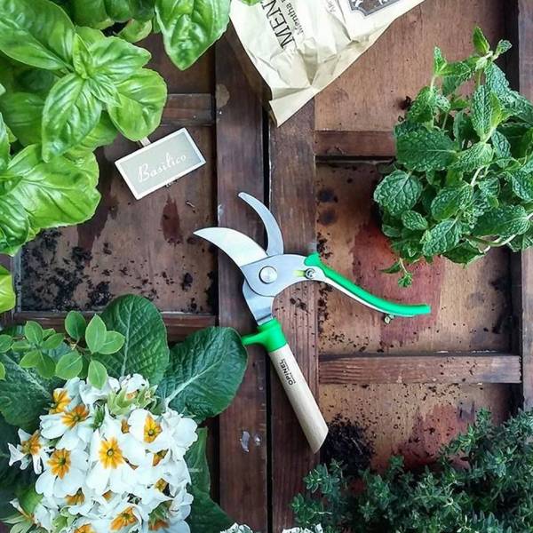 Sécateur de jardin OPINEL